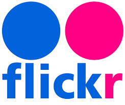 Flickr(1)